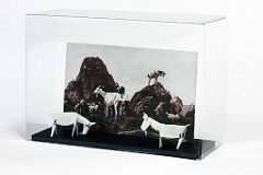 GGD HautesVosges3